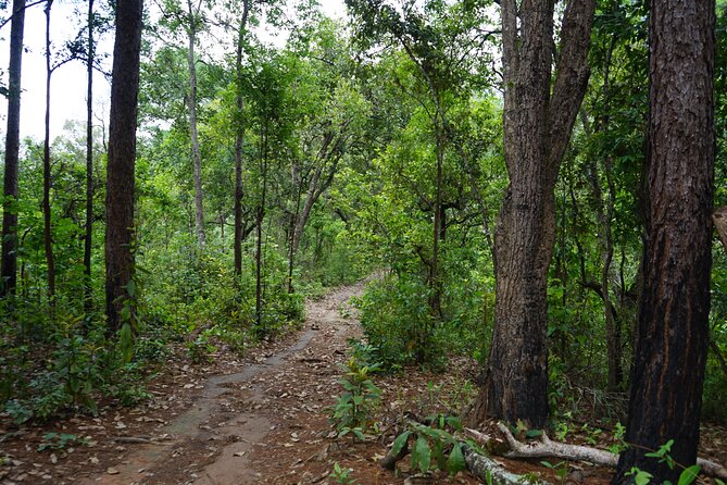 Chiang Mai Trekking Tour :Full day (no rafting) - Timing and logistics: a full day that starts at 7:30 am