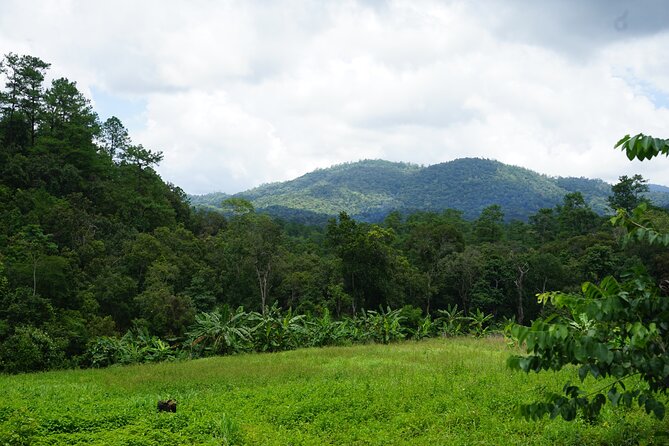 Chiang Mai Trekking Tour :Full day (no rafting) - Weather and comfort: the one thing that can change the plan