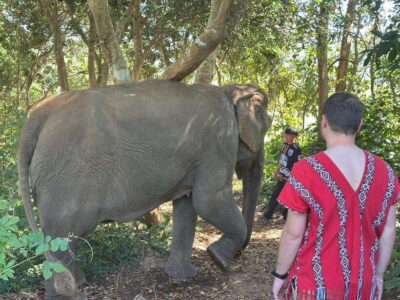 Chiang Mai Untouched Elephant: Nature Walk & Waterfall Trek - Meeting the mahouts first, not the elephants as a show