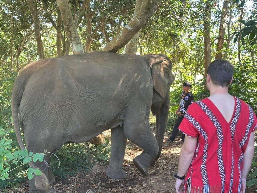 Chiang Mai Untouched Elephant: Nature Walk & Waterfall Trek - Meeting the mahouts first, not the elephants as a show