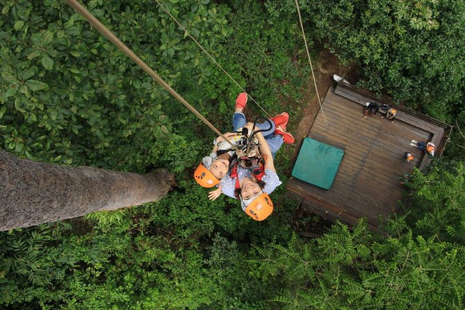 Chiang Mai Zip Line Experience - Key takeaways before you go