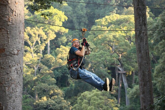 Chiang Mai Zip Line Experience - The views you get between lines