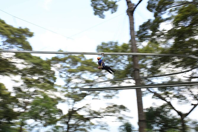 Chiang Mai Zip Line Experience - The post-flight reset: coffee, tea, fruit, and water