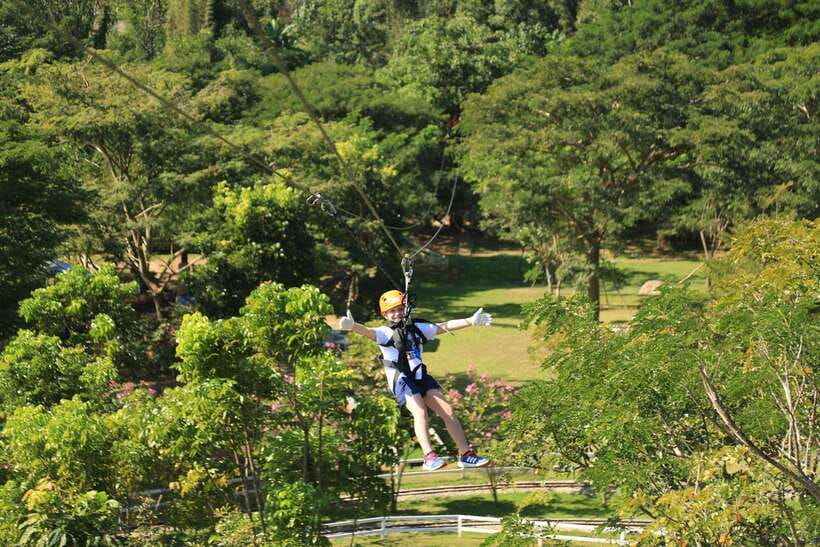 Chiang Mai: Zipline & High Rope Park with Lunch & Transfer - Who This Adventure Suits Best (and Who Should Skip It)