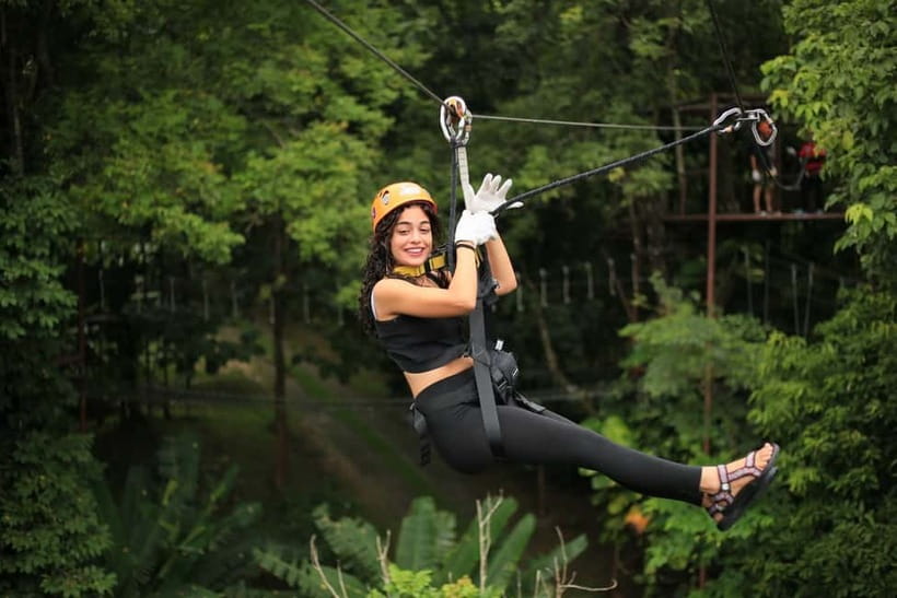 Chiang Mai: Zipline & High Rope without Lunch & Transfer - The Tiny Train Through Flowers and Farm: A Change of Pace That Works