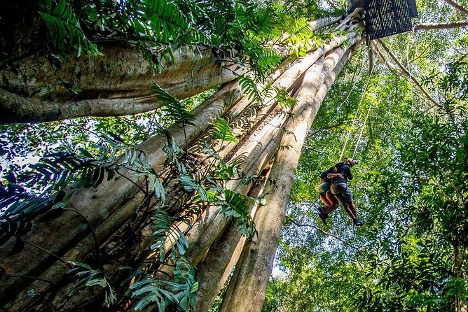 Chiang Mai Zipline White Water Rafting and Elephant Sanctuary - Group Size and Guide Style: Small Can Feel Better