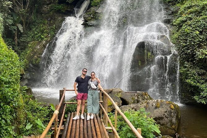 ChiangMai 1DayTour:Elephant Sanctuary,king&queen pagoda,waterfall - Key highlights you’ll feel on the day