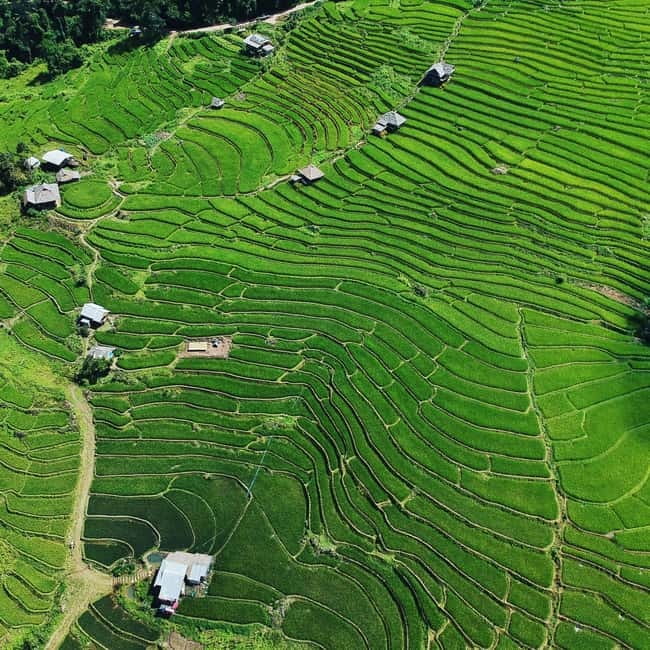 Chiangmai : Doi Inthanon unseen spot , Rice terrace & temple - Ban Mae Klang Laung Karen life: coffee, textiles, and real questions
