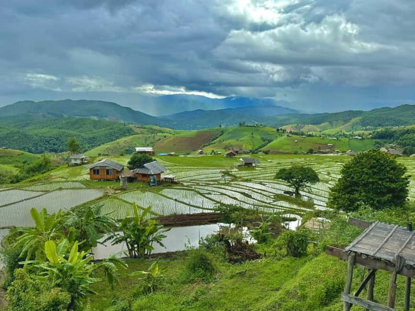 Chiangmai : Doi Inthanon unseen spot , Rice terrace & temple - Rice terraces near Doi Inthanon: the color-changing finale