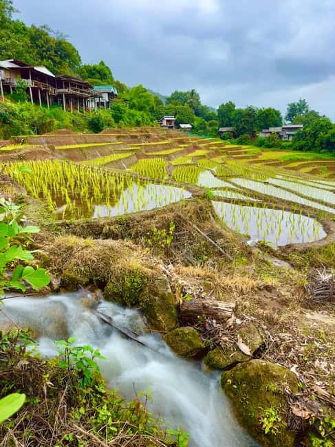 Chiangmai : Doi Inthanon unseen spot , Rice terrace & temple - Who should book this (and who should skip it)