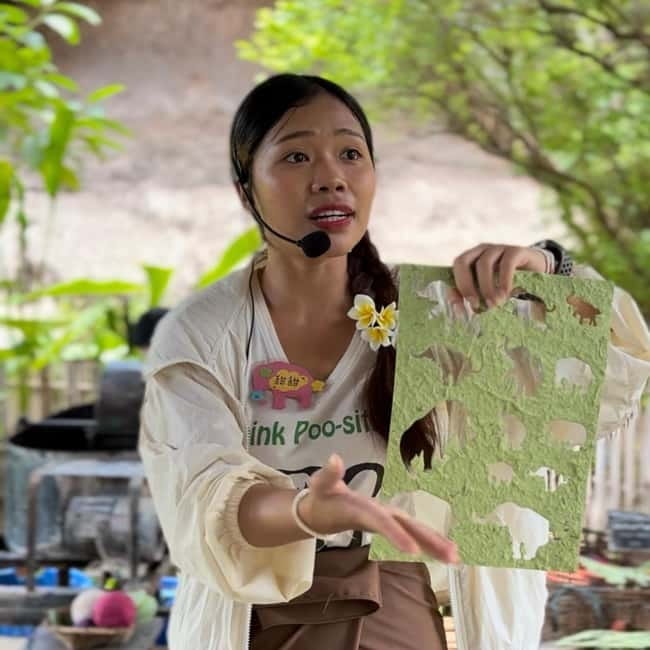 ChiangMai Elephant POOPOOPAPER Park Optional StickyWaterfall - Key things to know before you go