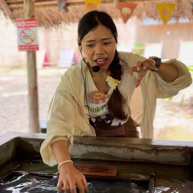 ChiangMai Elephant POOPOOPAPER Park Optional StickyWaterfall - Practical tips to get the most from the workshop