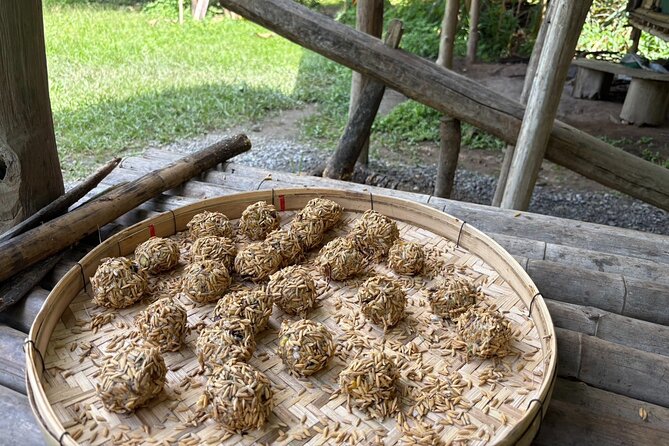 Chiangmai Half Day Visit and Wildlife Experience - What Your Money Supports: Rescue, Food, Veterinary Care, and Care Management