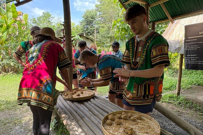 Chiangmai Half Day Visit and Wildlife Experience - Price and Value for an Ethical Half-Day Elephant Experience