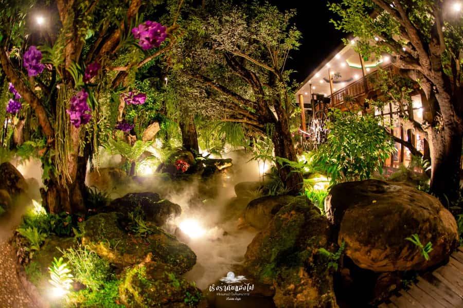 Chiangmai to Chiangrai: 3 Temples, Hot Springs& Lalitta Cafe - Price and logistics: what you’re actually paying for
