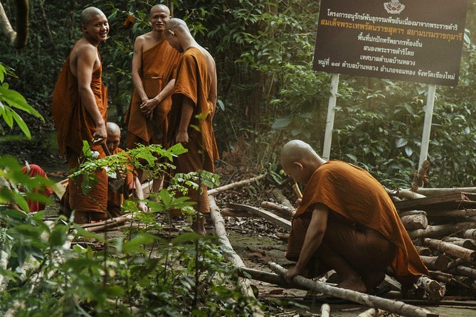 City Escape: Doi Inthanon & Karen Village Private Day Trip - Doi Inthanon National Park: Waterfalls and Temples in a Tight 2-Hour Window