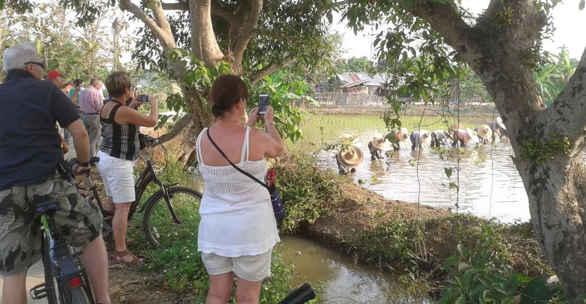 Colors of Chiang Mai Guided Bicycle Tour - A half-day ride built around 20–25 km of real Chiang Mai