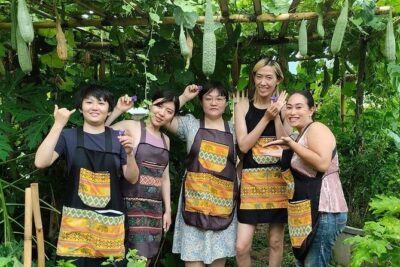 Cooking class in organic garden and local market tour ThaiCottage - Organic herb garden: using what’s growing nearby