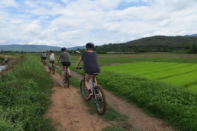 Cycling tour and Buatong waterfall - Timing, pacing, and who this fits best