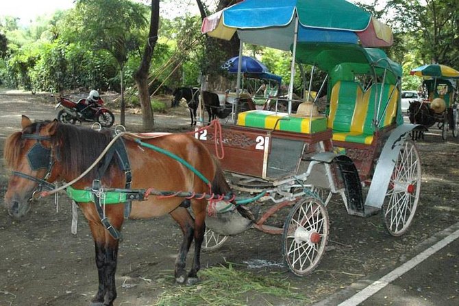 Discover Wiang Kum Kam Ancient City with Wat Chiang Man Visit - The horse-drawn carriage ride: slow travel for the part of town you can’t hurry