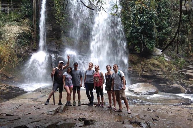 Doi Inthanon Day Trip:Twin Pagodas,Soft Hiking,Coffee Plantation - Hmong community market, rice-field trekking, and coffee tasting