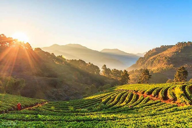 Doi Inthanon Discovery Tour: Waterfalls, Villages & Highest Peak - Wachirathan Falls: the best nature payoff near the end