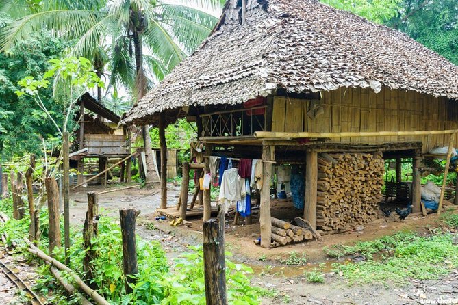Doi Inthanon Discovery Tour: Waterfalls, Villages & Highest Peak - Who should book this tour, and who should consider alternatives