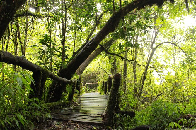 Doi Inthanon National park and 2 hours hiking with private tour - King and Queen Pagodas with flower gardens