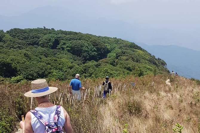 Doi Inthanon National Park Day Trip - Wachirathan Falls: a short stop with a big sensory payoff