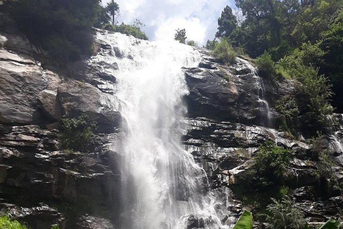 Doi Inthanon National Park Day Trip - Doi Inthanon area: highest peak vibes and the Twin Pagodas
