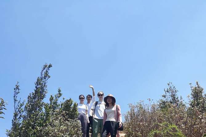 Doi Inthanon National Park Day Trip - Who this private Doi Inthanon trip fits best