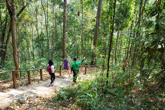 Doi Inthanon National Park Eco-Friendly Full Day Tour - Price and value: what you actually pay for