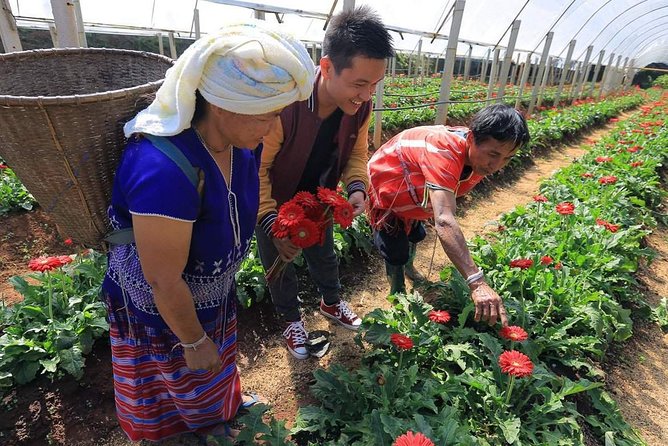Doi Inthanon National Park Full Day Tour from Chiang Mai - Ban Mae Klang Luang village: rice and coffee, plus a short guided walk
