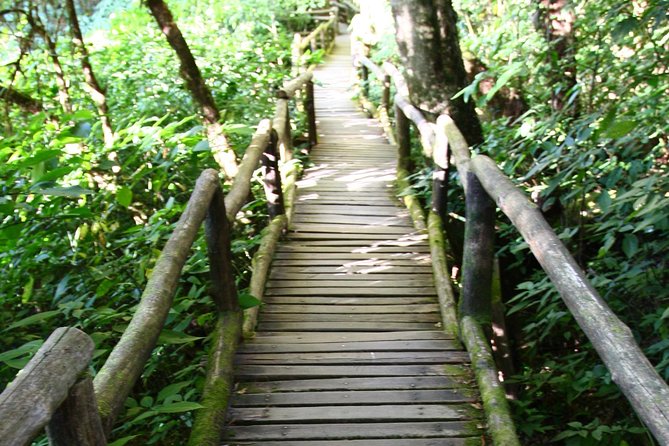 Doi Inthanon National Park including Lunch from Chiang Mai - From Chiang Mai at 8:30am: what your day feels like