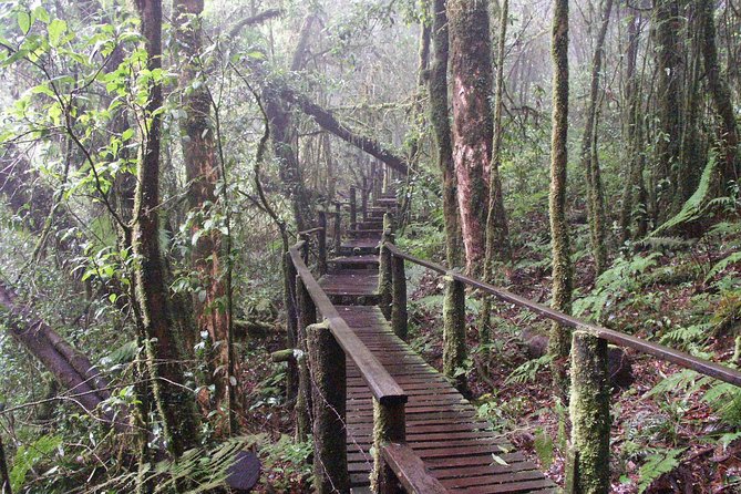 Doi Inthanon National Park - Thailand's Highest Peak - Chiang Mai to Doi Inthanon: the ride that sets the tone