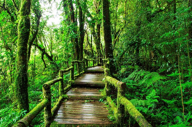 Doi Inthanon National Park - Thailand's Highest Peak - Ang Ka nature trails: a calm break and a pond moment
