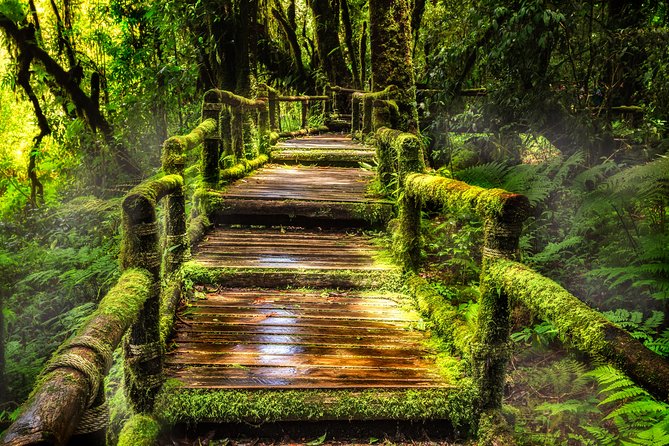 Doi Inthanon National Park - Thailand's Highest Peak - Optional Kew Mae Pan and Pha Dok Siew trails: choose your effort wisely