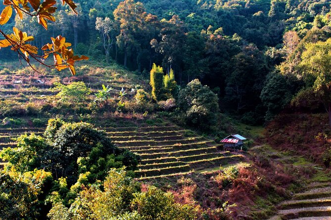 Doi Inthanon National Park, Waterfall & Royal Project Day Tour From Chiang Mai - Wachirathan Falls: Big Water, Cool Mist, and Rainbow Possibilities