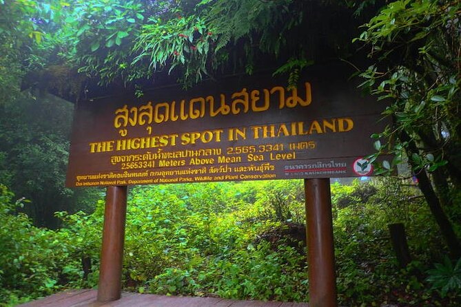 Doi Inthanon National Park with Nature Trail Trekking 1-Day Tour - Lunch Timing, Food Options, and Staying Comfortable