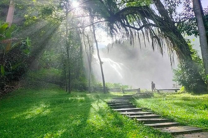 Doi Inthanon Private Trek & Lunch Tour from Chiang Mai - From Chiang Mai Pickup to 8:30am Mountain Start