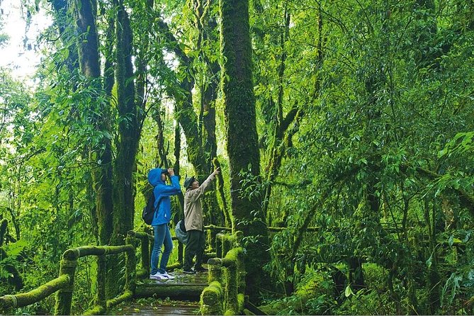 Doi Inthanon Waterfall and Royal Project Chiang Mai - Karen village visit and the Karen tea/coffee angle