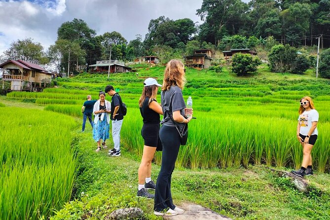 Doi Inthanon Waterfall and Royal Project Chiang Mai - The highest point finish: Twin Royal Stupas and summit views