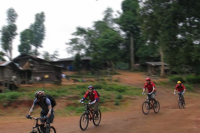 Doi Suthep National Park To Chiang Mai Beginner Downhill Mountain Biking - Stop at Huay Tung Tao: lunch, lake time, and a breather