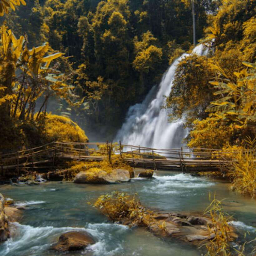 Eco-Friendly: Doi Inthanon & Pha Dok Siew Trekking Day Trip - Key things I’d pencil in first