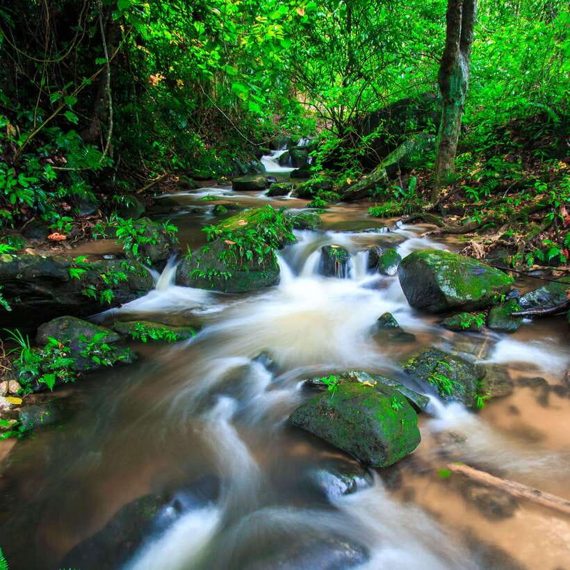 Eco-Friendly: Doi Inthanon & Pha Dok Siew Trekking Day Trip - Heading up from Chiang Mai to Doi Inthanon’s cooler air