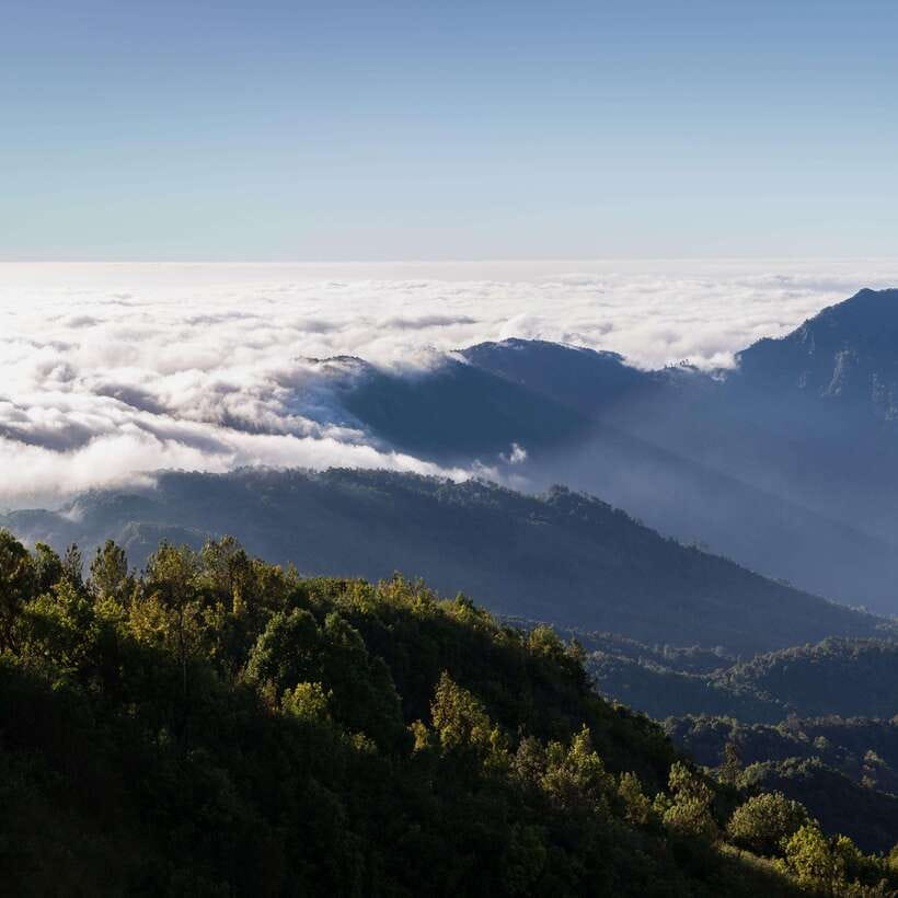 Eco-Friendly: Doi Inthanon & Pha Dok Siew Trekking Day Trip - Mae Klang Luang village: Hmong market energy plus White Karen Hill Tribe culture