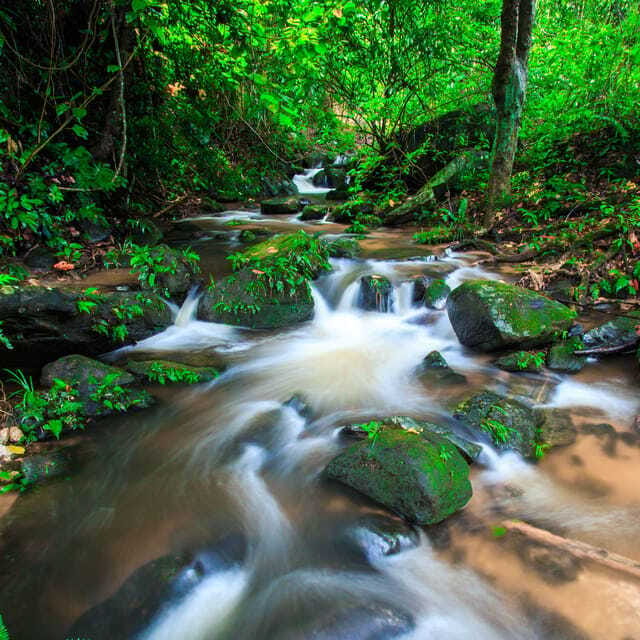 Eco-Friendly: Doi Inthanon & Pha Dok Siew Trekking Day Trip - Price and value: what you pay, what costs extra