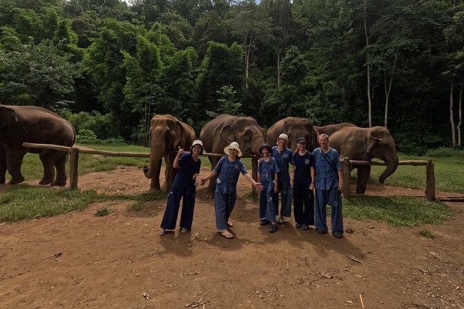 Elephant care program at CHIANGMAI ELEPHANT CARE - Lunch, rest, and how to keep the day enjoyable