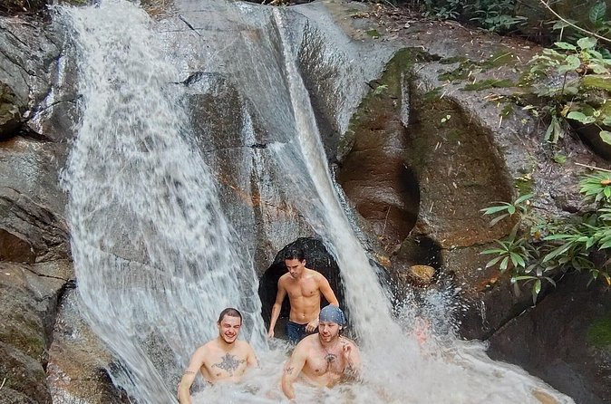 Elephant Experience and Hidden Jungle Waterfall Chiang Mai - Thai lunch (or dinner) with a vegetarian option