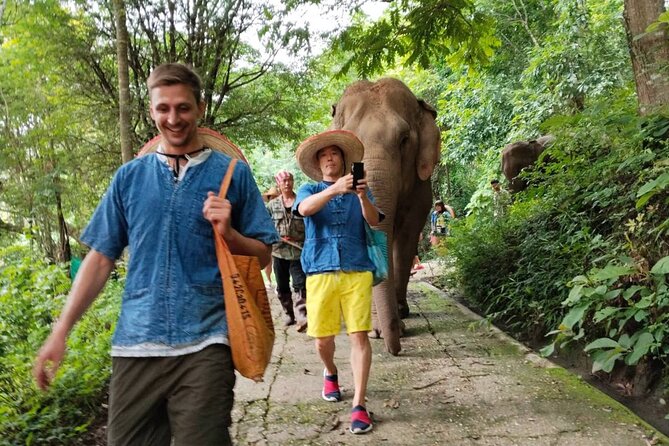 Elephant Experience and Hidden Jungle Waterfall Chiang Mai - Logistics that actually matter: timing, transport, and group size